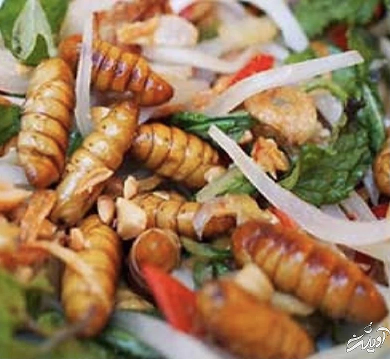 چندش آور ترین غذا های دنیا را بشناسید!/ تصاویر